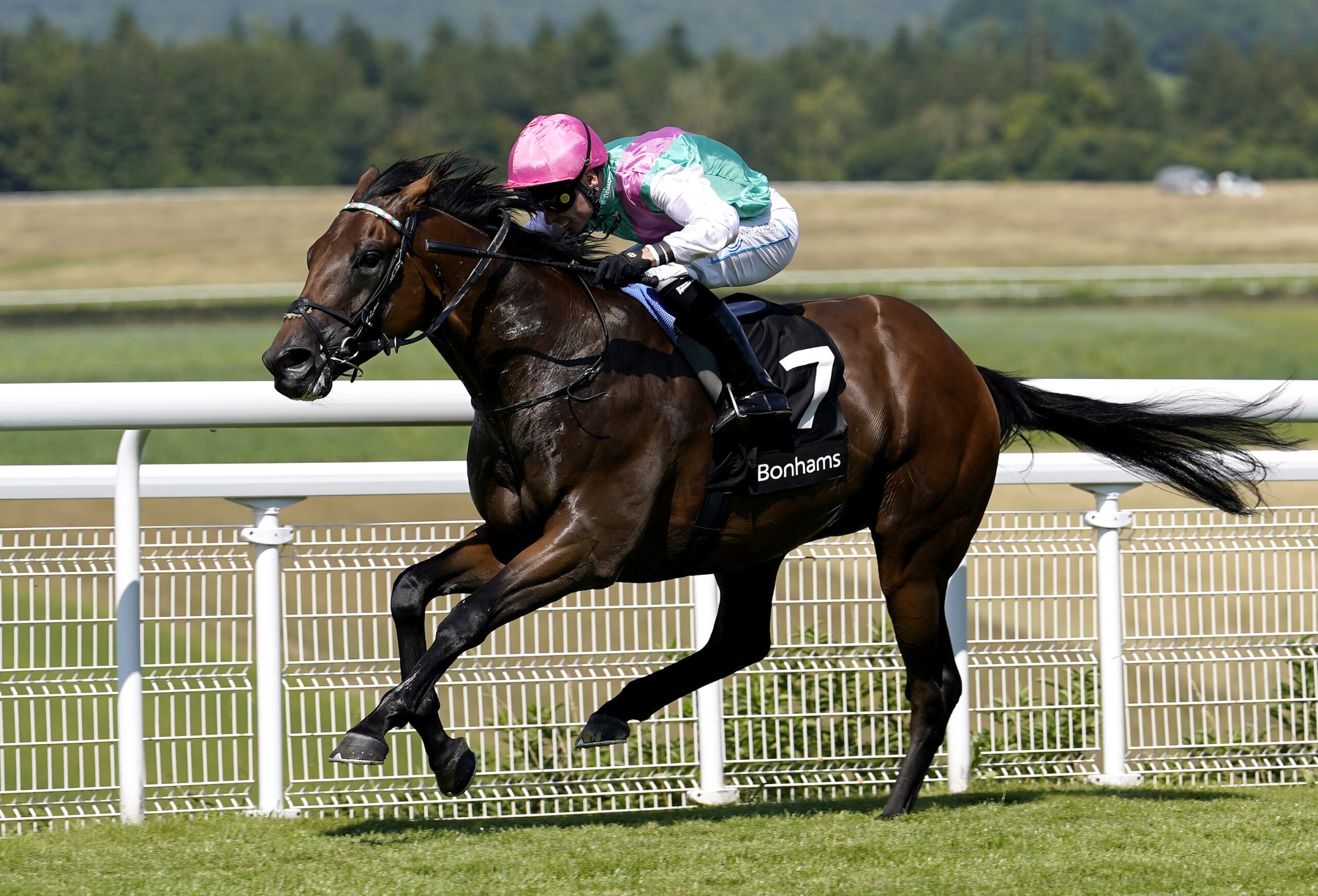 Lead Artist can win the Sky Bet City of York Stakes at York today.