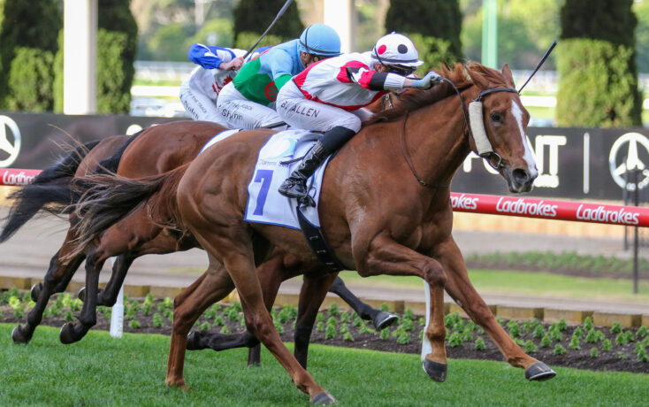 Pinstriped out for PBLawrence Stakes redemption