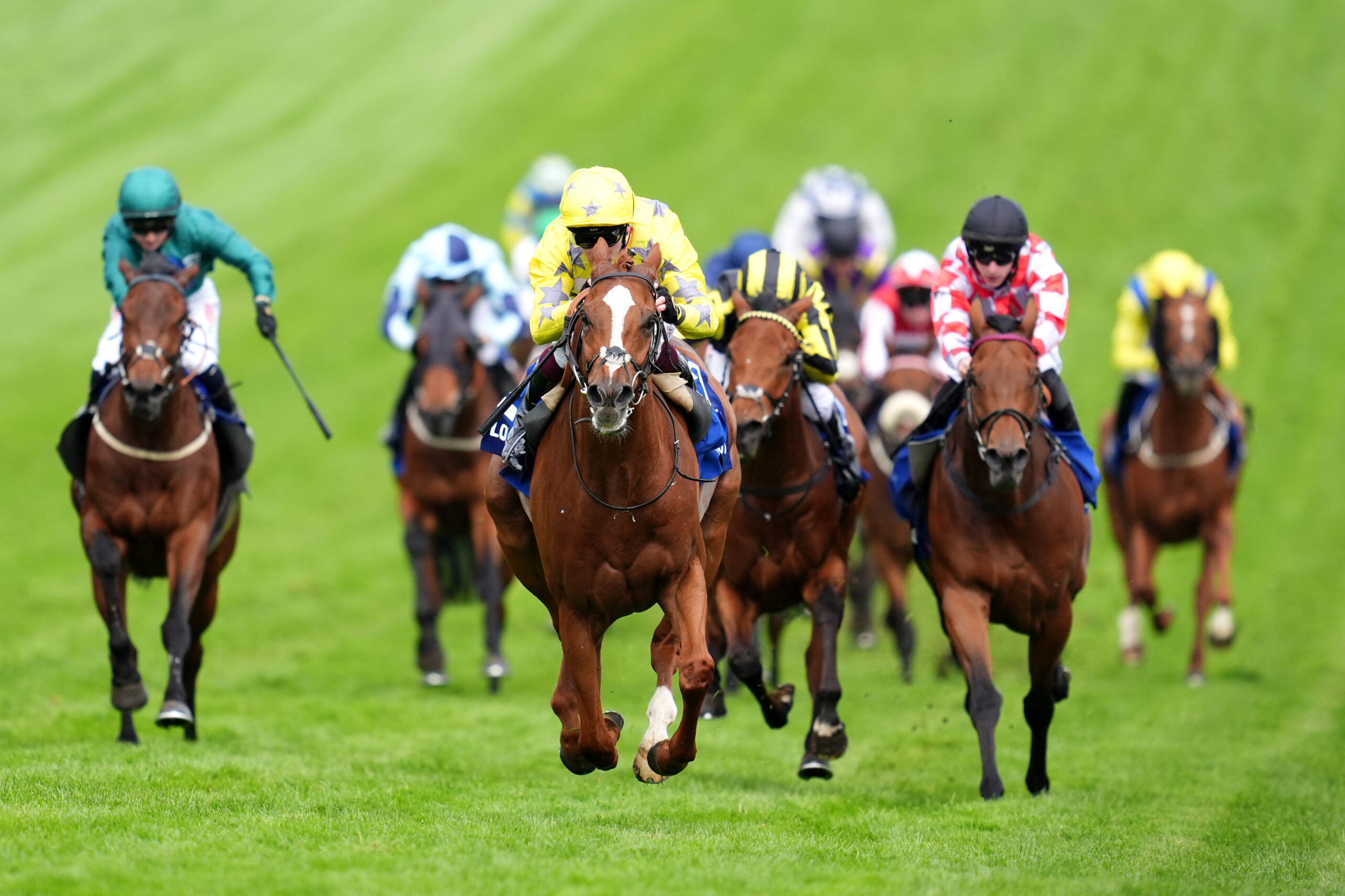 Relentless Voyager: tops the weights in the Ebor