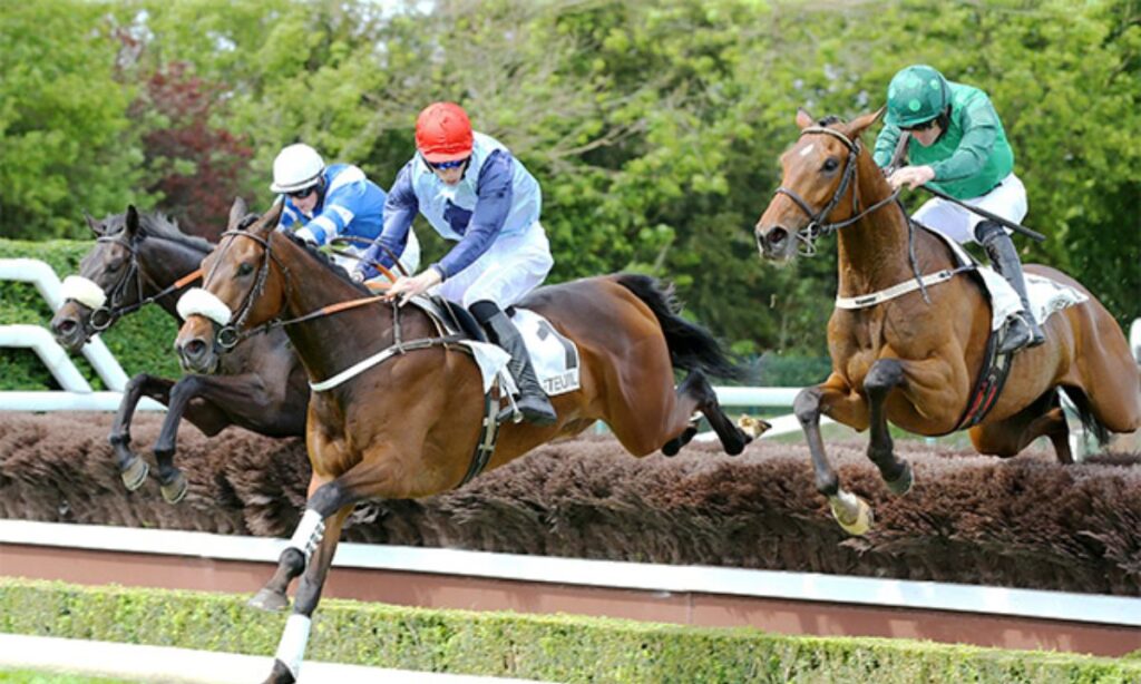 French Selections Sunday 29th User's blog