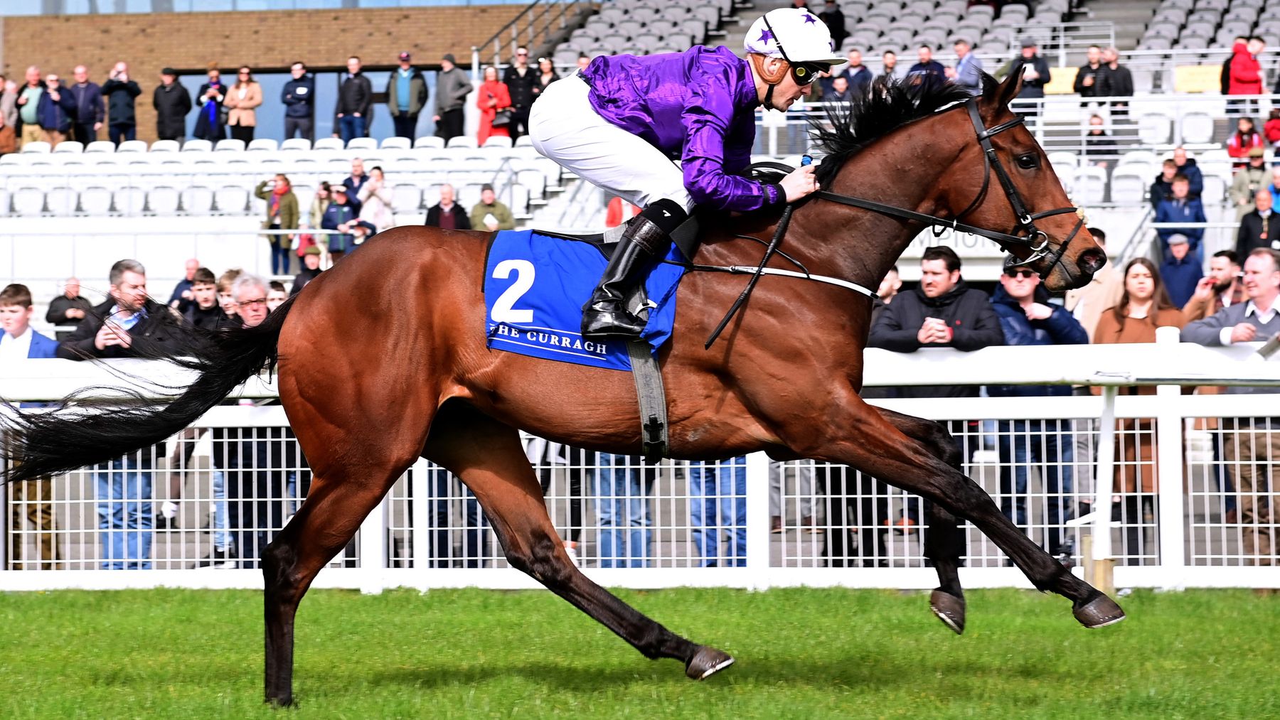 Betfair Sprint Cup:Horse-by-horse guide and tip