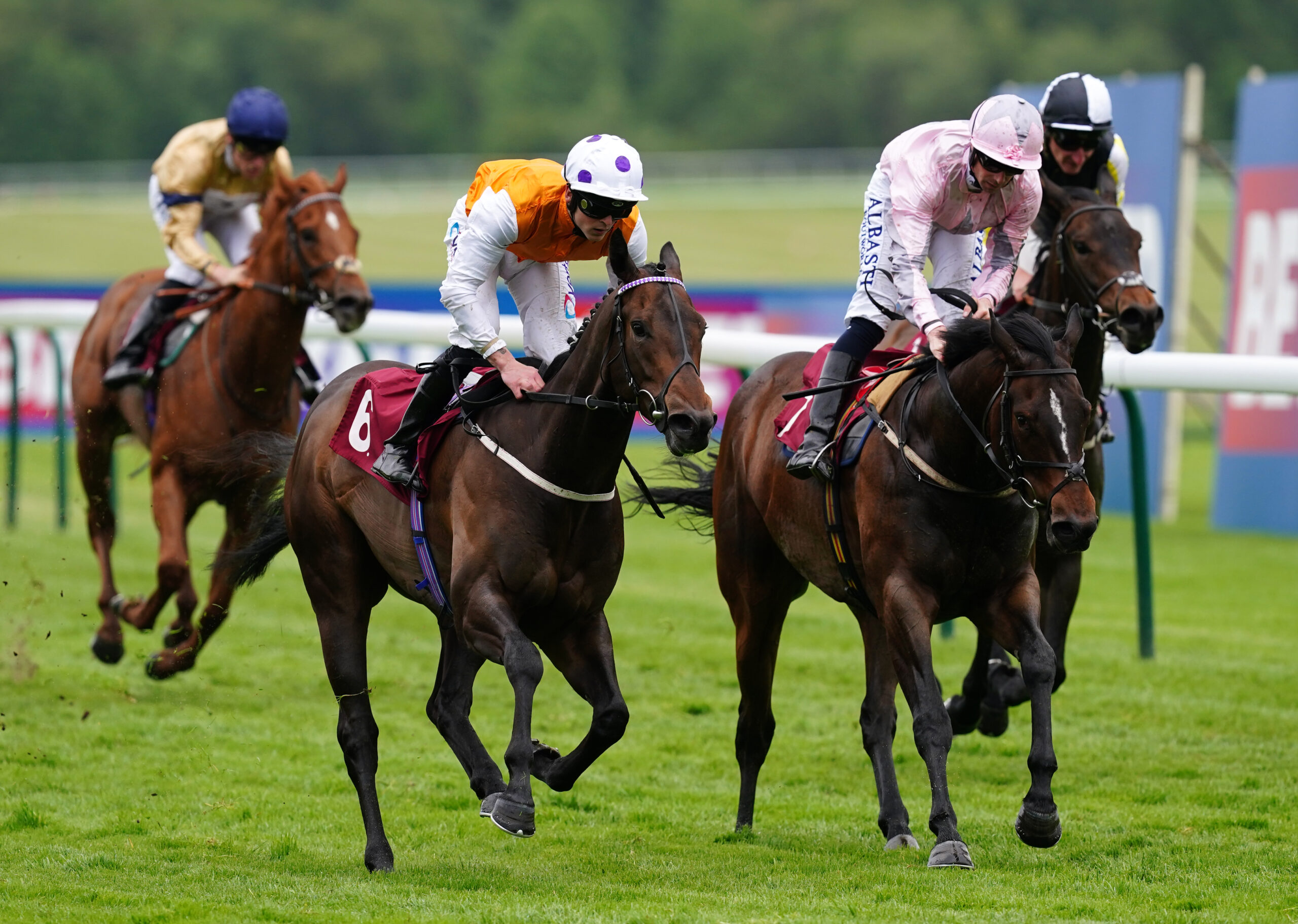 “Brilliant old horse” Lethal Levi bound for Ayr Gold Cup