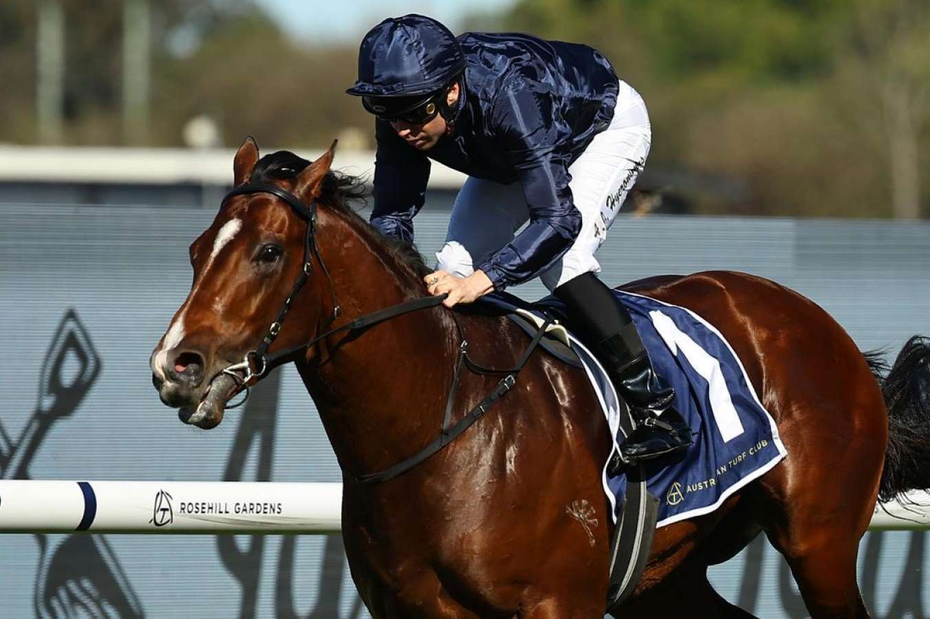 Gai Waterhouse talks up Storm Boyfor The Everest in Coolmore’s slot