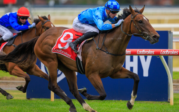 Cherish Me presses Blue Diamond Stakes claims