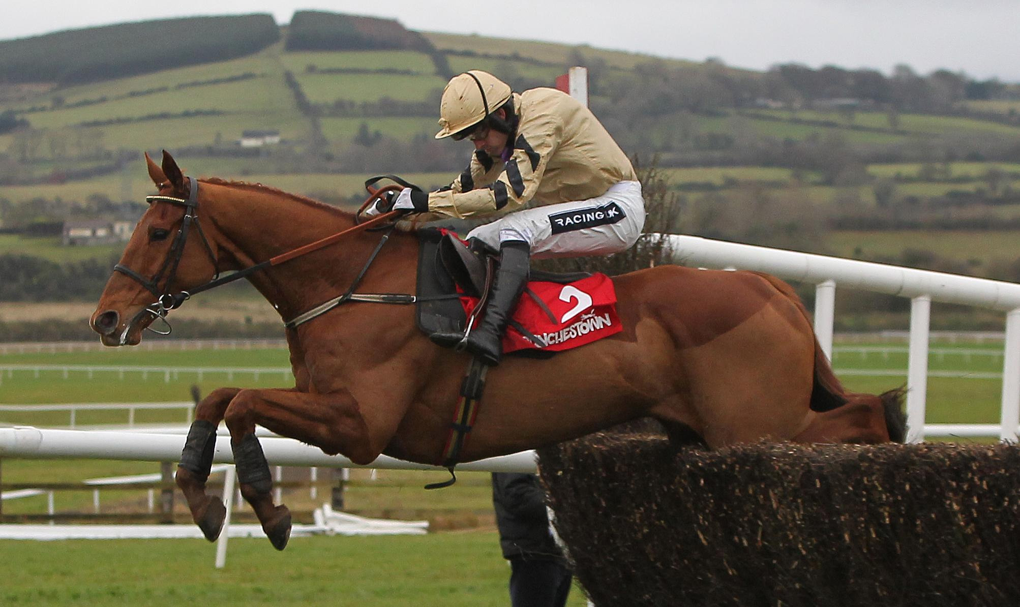 Florida Pearl the undisputed king of the Irish Gold Cup