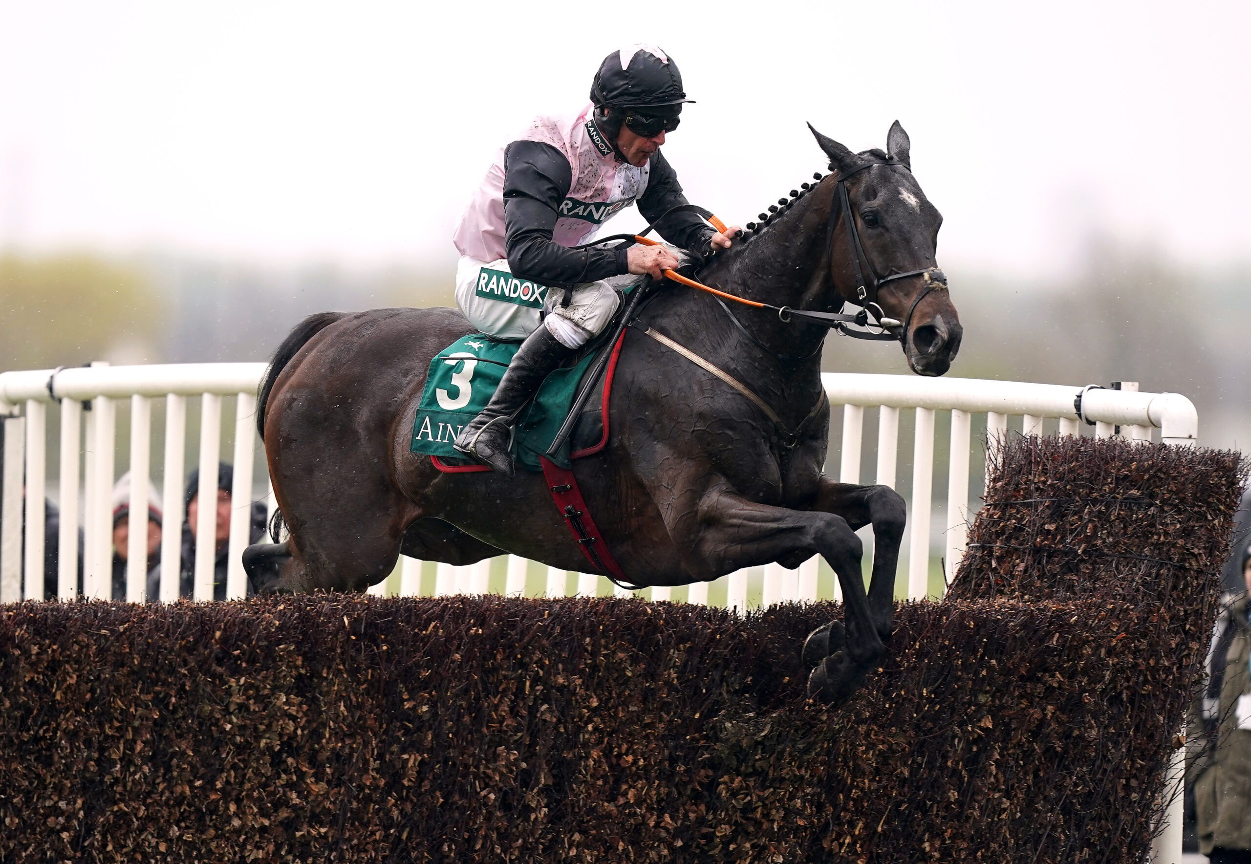 Gordon Elliott contemplating Windsor runfor Gerri Colombe