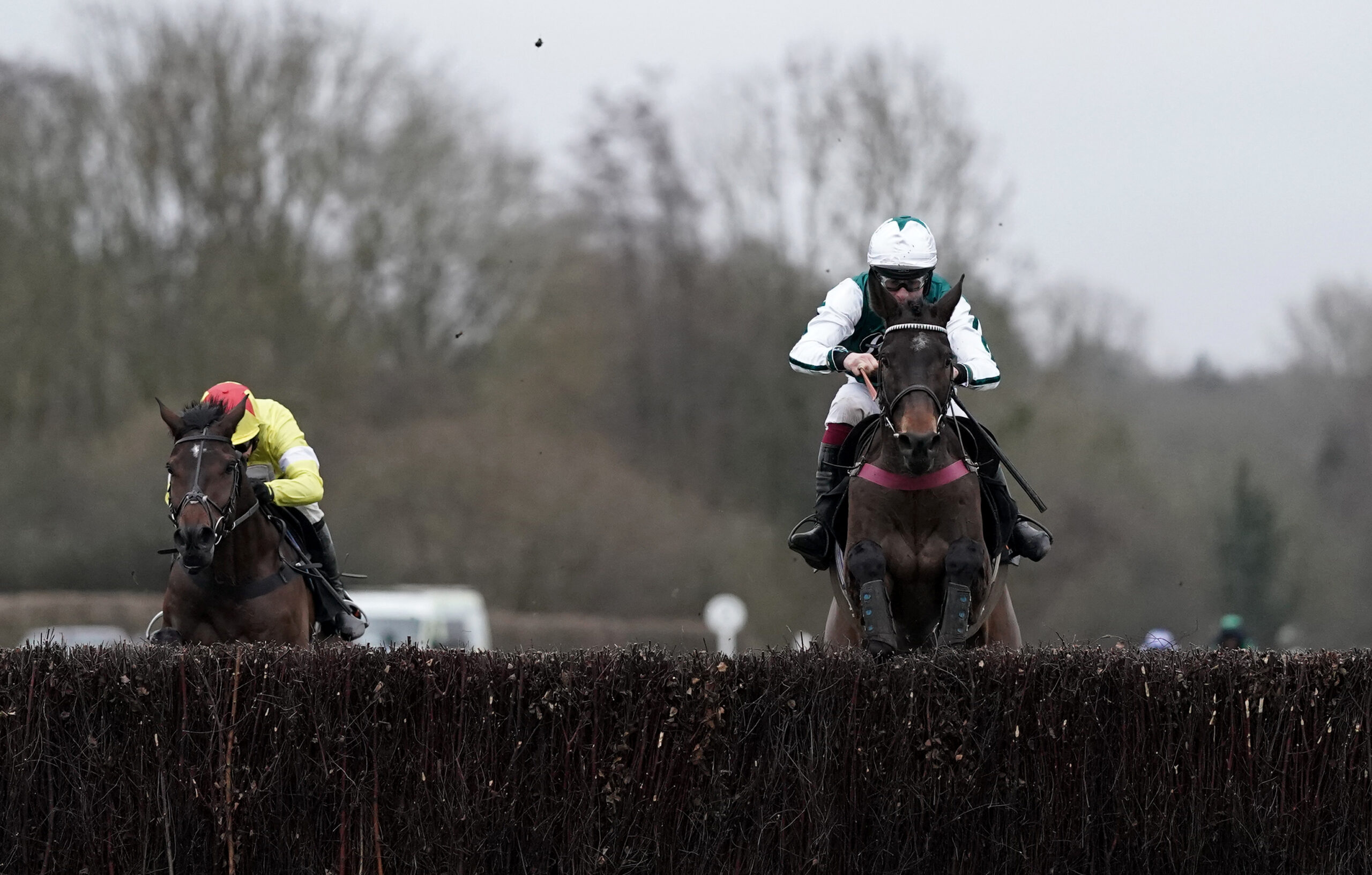 Betfair Cotswold Chase preview:L’Homme Presse on target