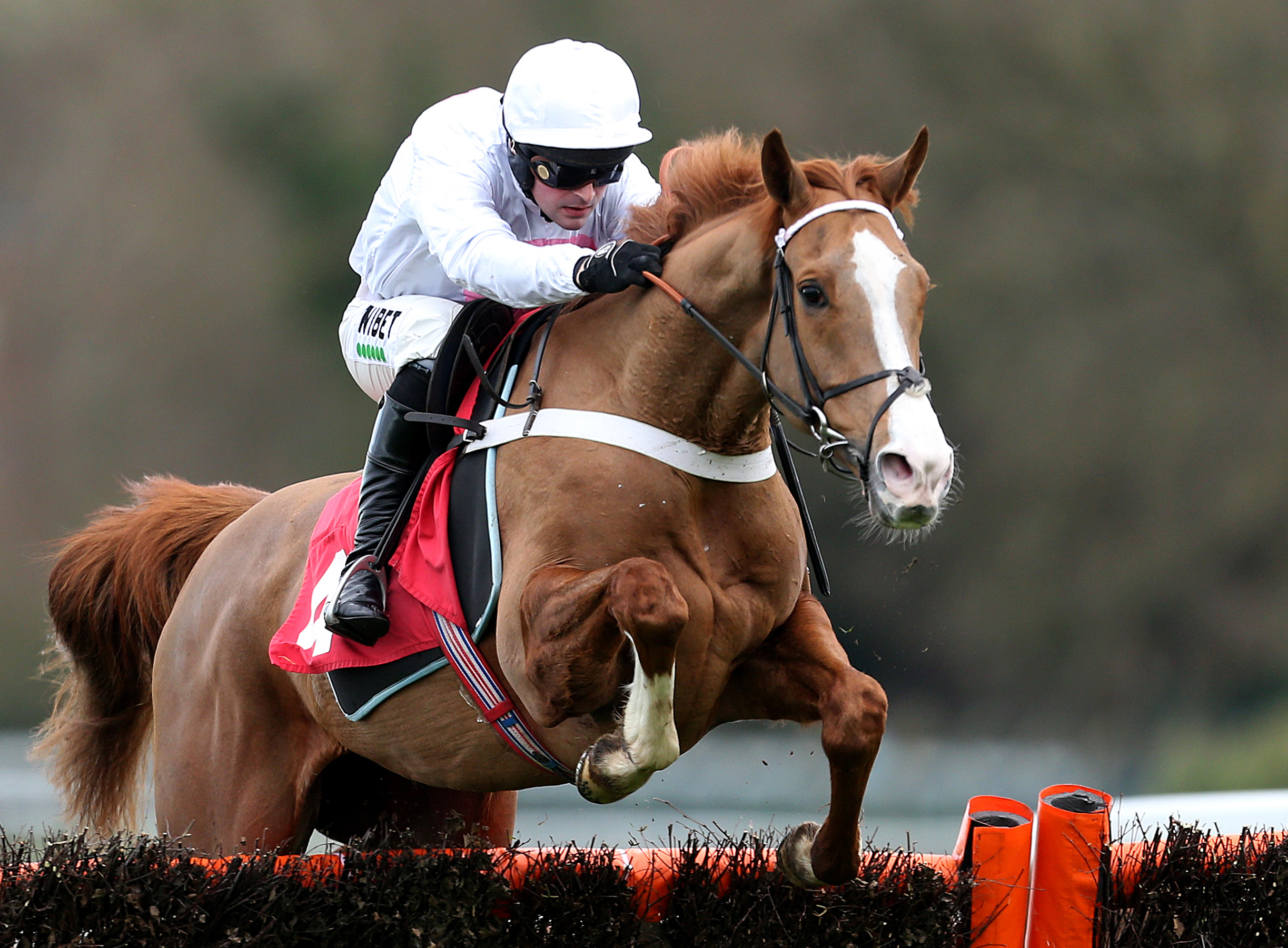 PALLADIUM TO SHOW HIS WORTH ON HURDLES BOW