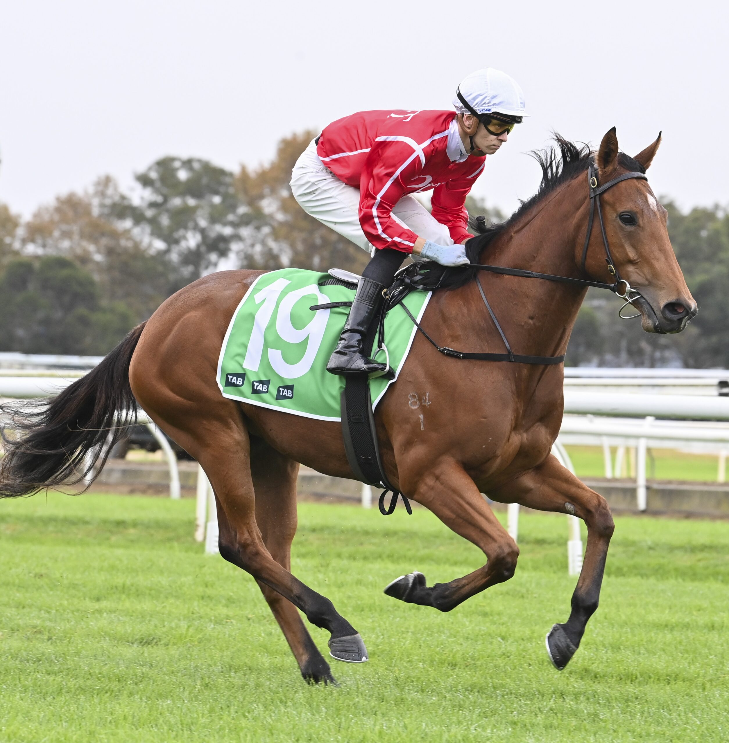 Milligan Holds An Ace Hand For Taree