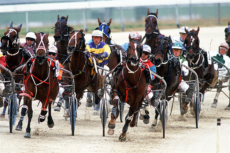 French Selections Sunday 18th