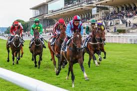 French Selections Wednesday 21st
