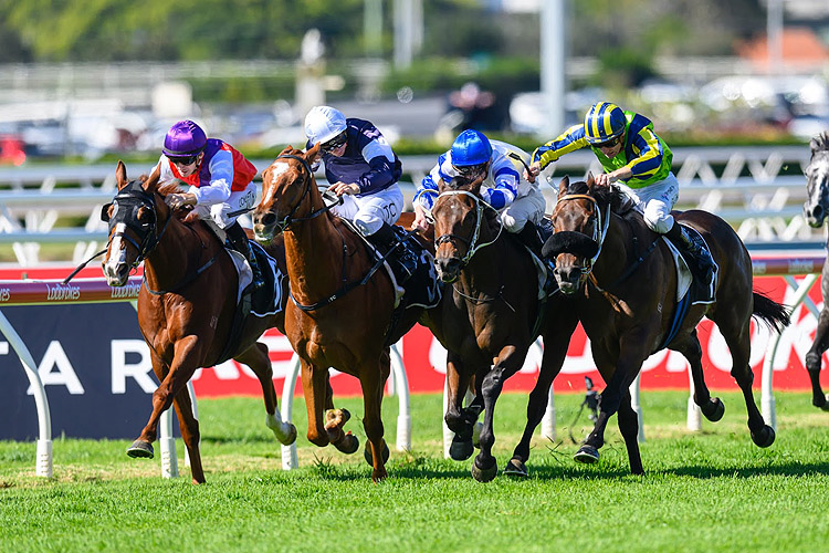 French Selections Thursday 22nd
