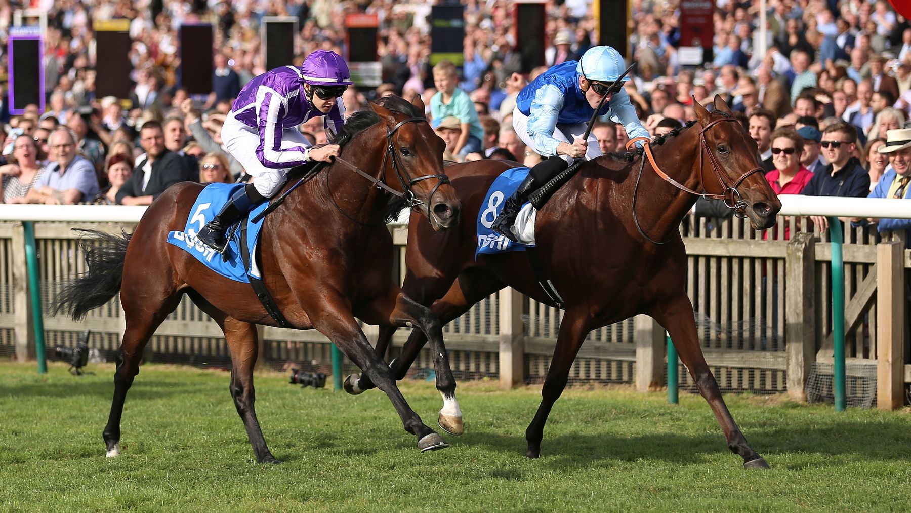 French Selections Friday 23rd