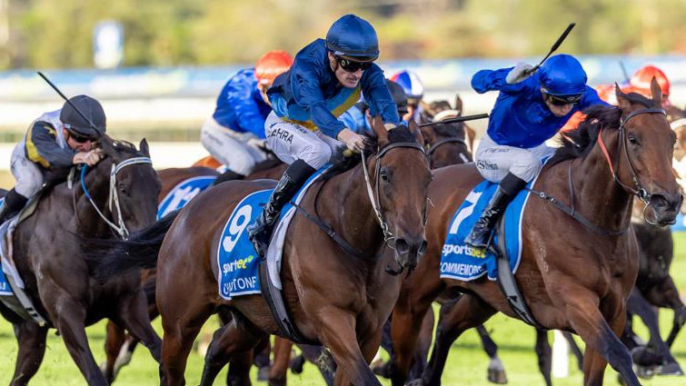 French Selections Saturday 24th