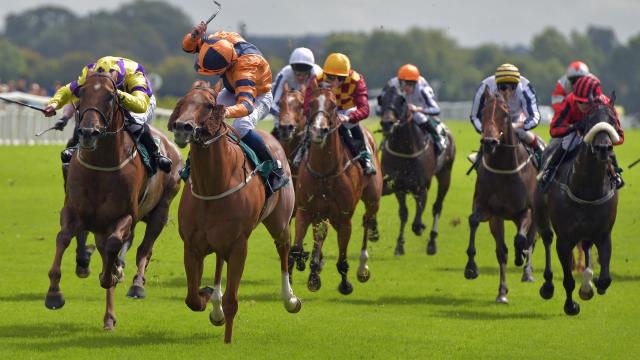 French Selections Thursday 7th