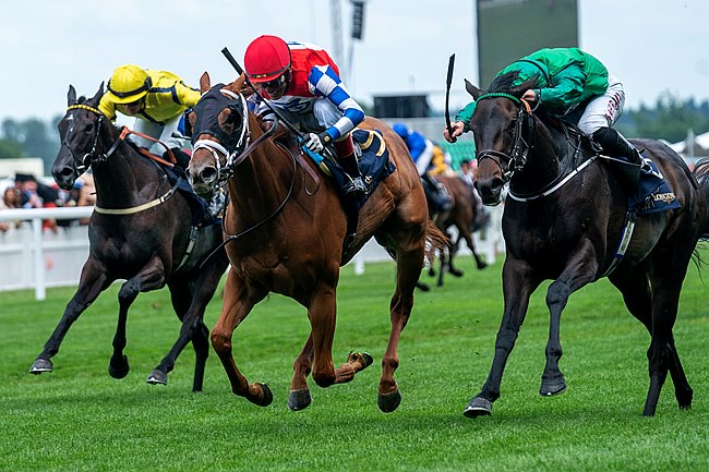 French Selections Friday 15th