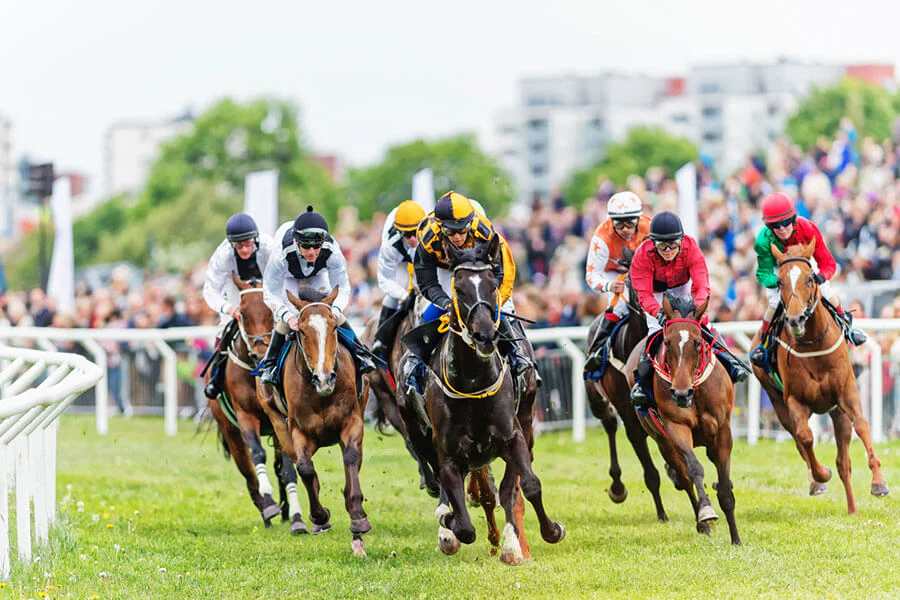French Selections Thursday 14th