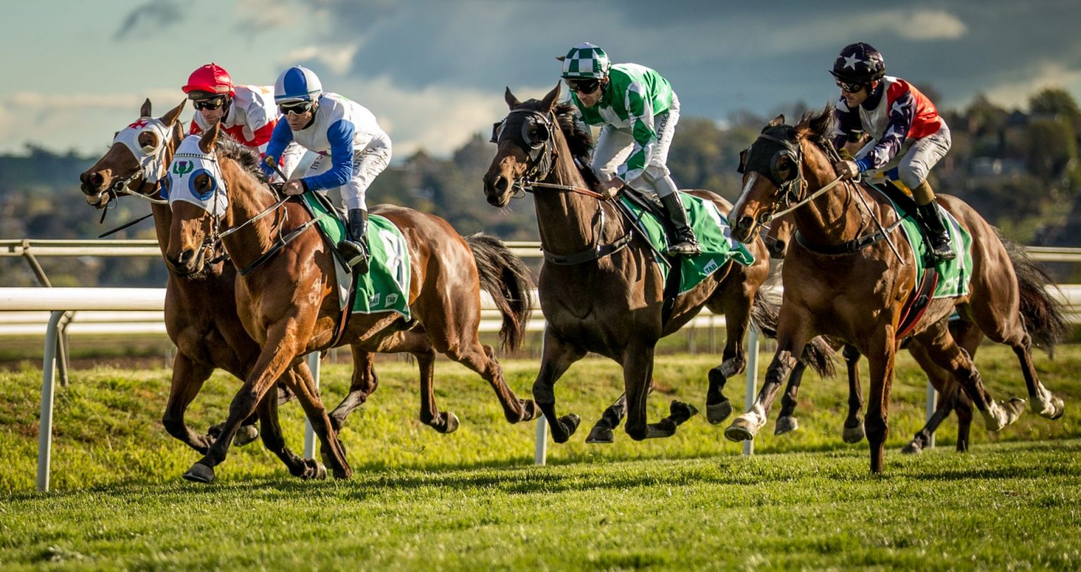 French Selections Saturday 9th