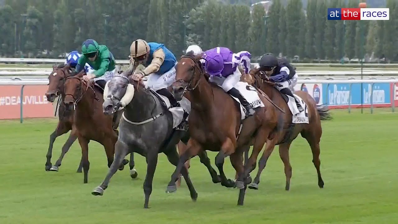 French Selections Sunday 8th