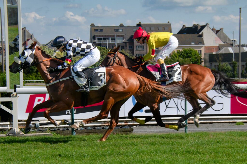 French Selections Saturday 7th