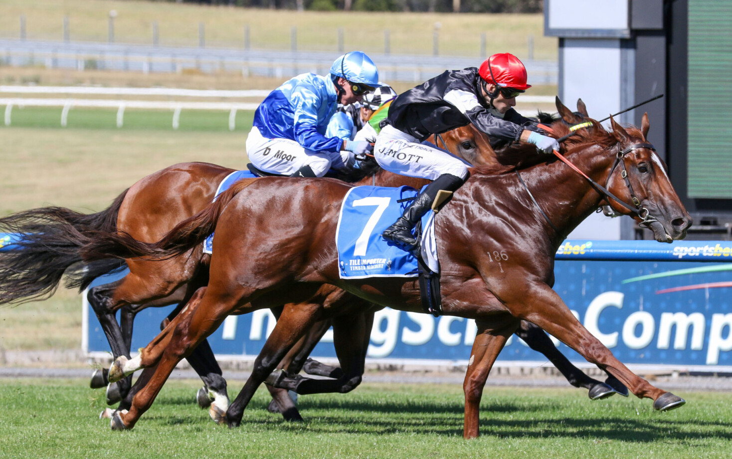 Royal’s return slated for Wagga Town Plate