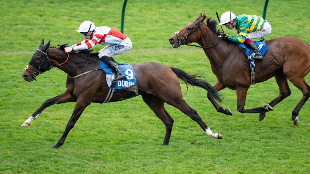 Five eye-catching entries chasing a shareof £1 million on All-Weather finals day