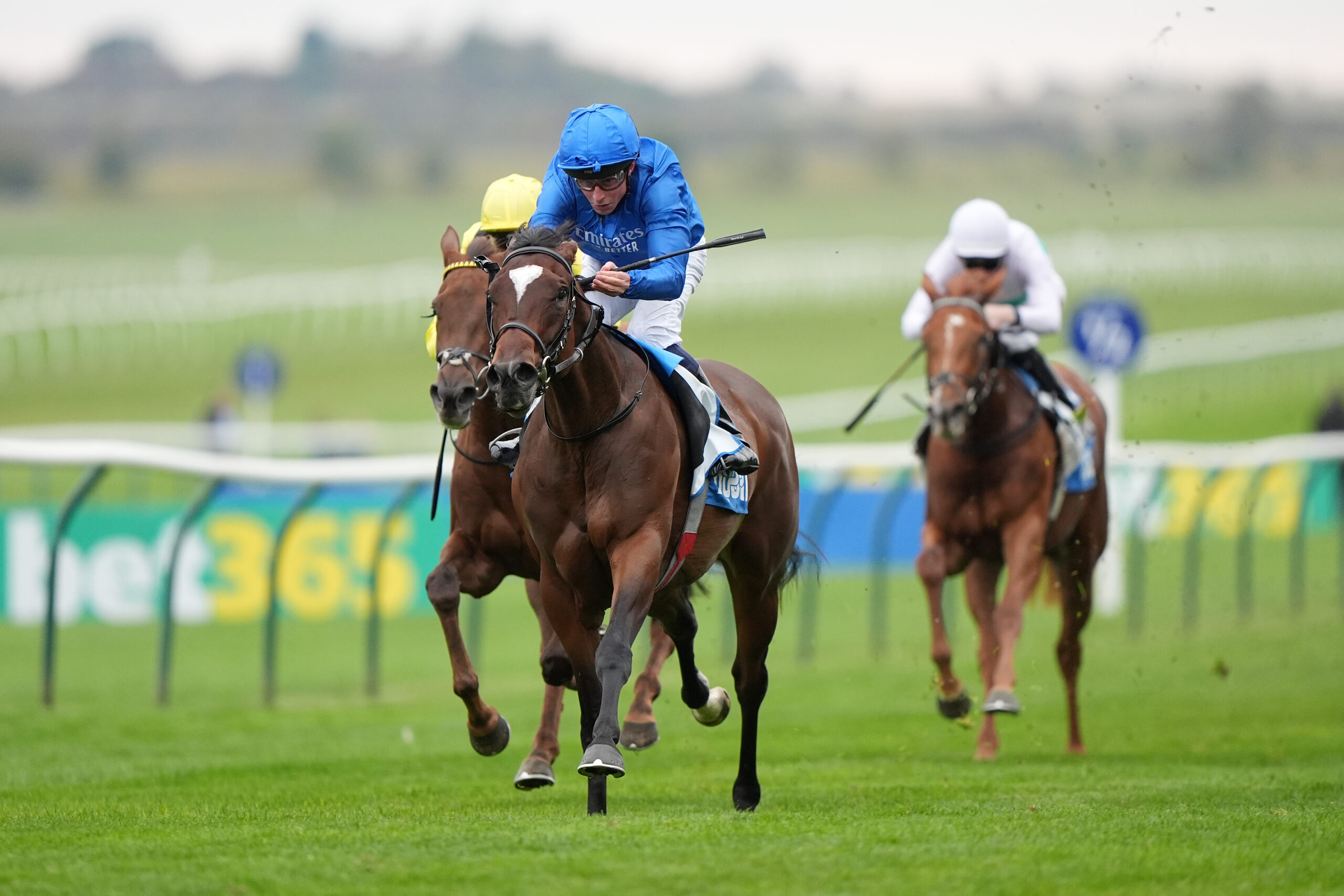 DAMYSUS POISED TOSHINE IN EARL OF SEFTON