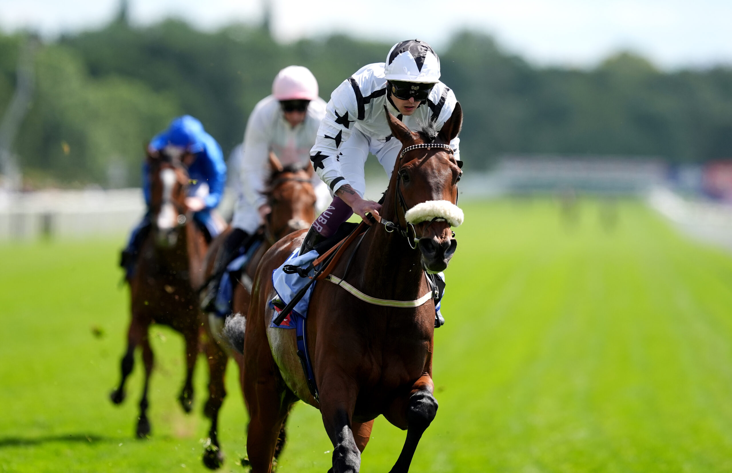 AL QAREEM CAN RISE TO THE TOP AT MUSSELBURGH