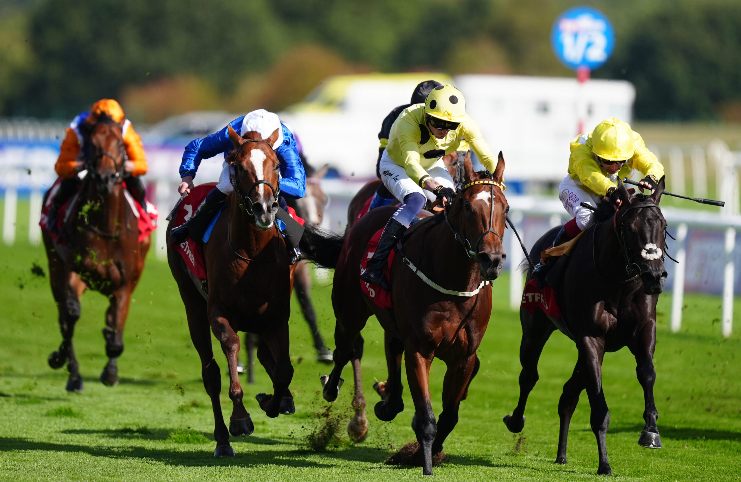 Avicenna pencilled in for Guineas trial starting point