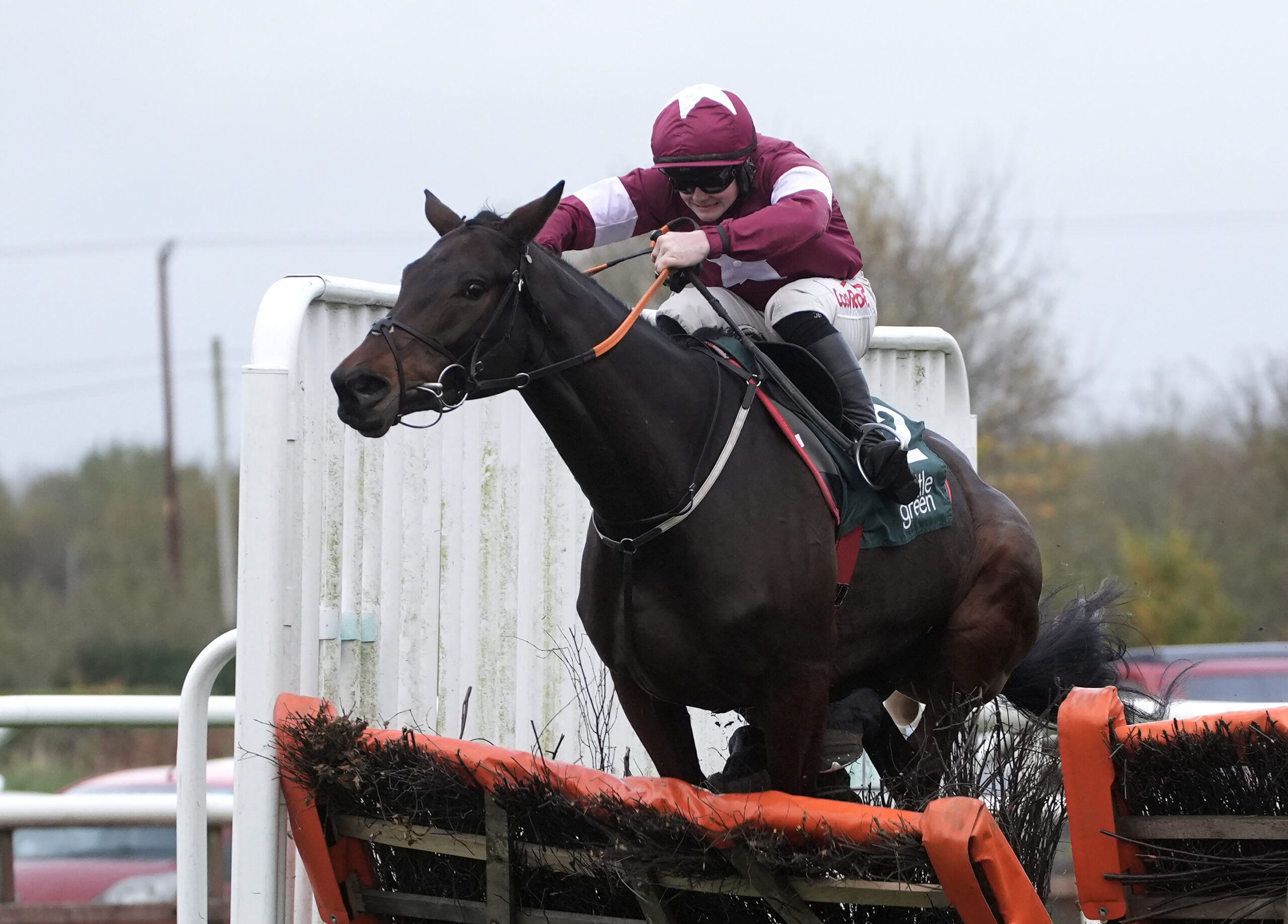 Brighterdaysahead and The New Lion set to meet again in Aintree Hurdle