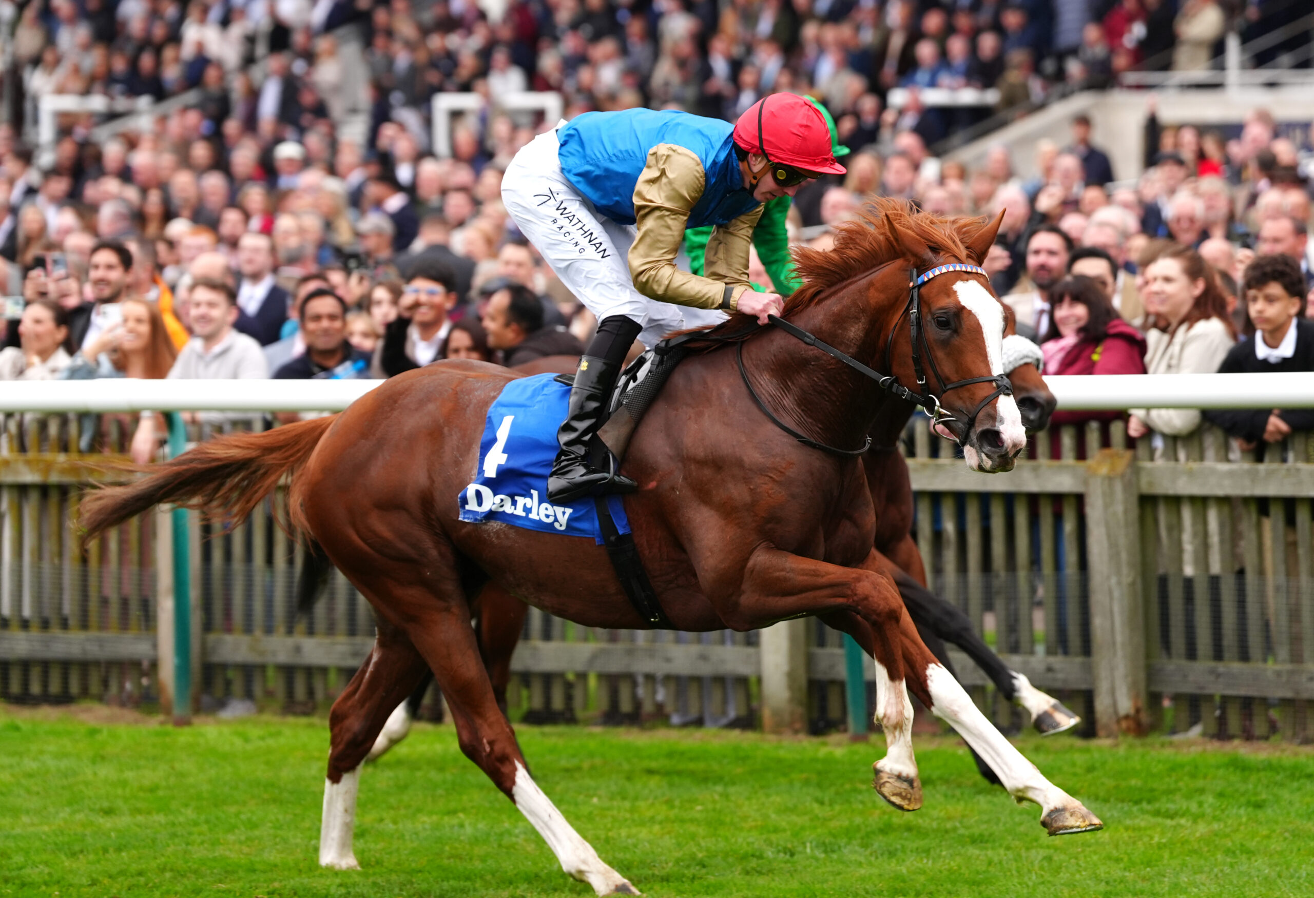 Damysus Heads CompetitiveEarl Of Sefton Stakes Field