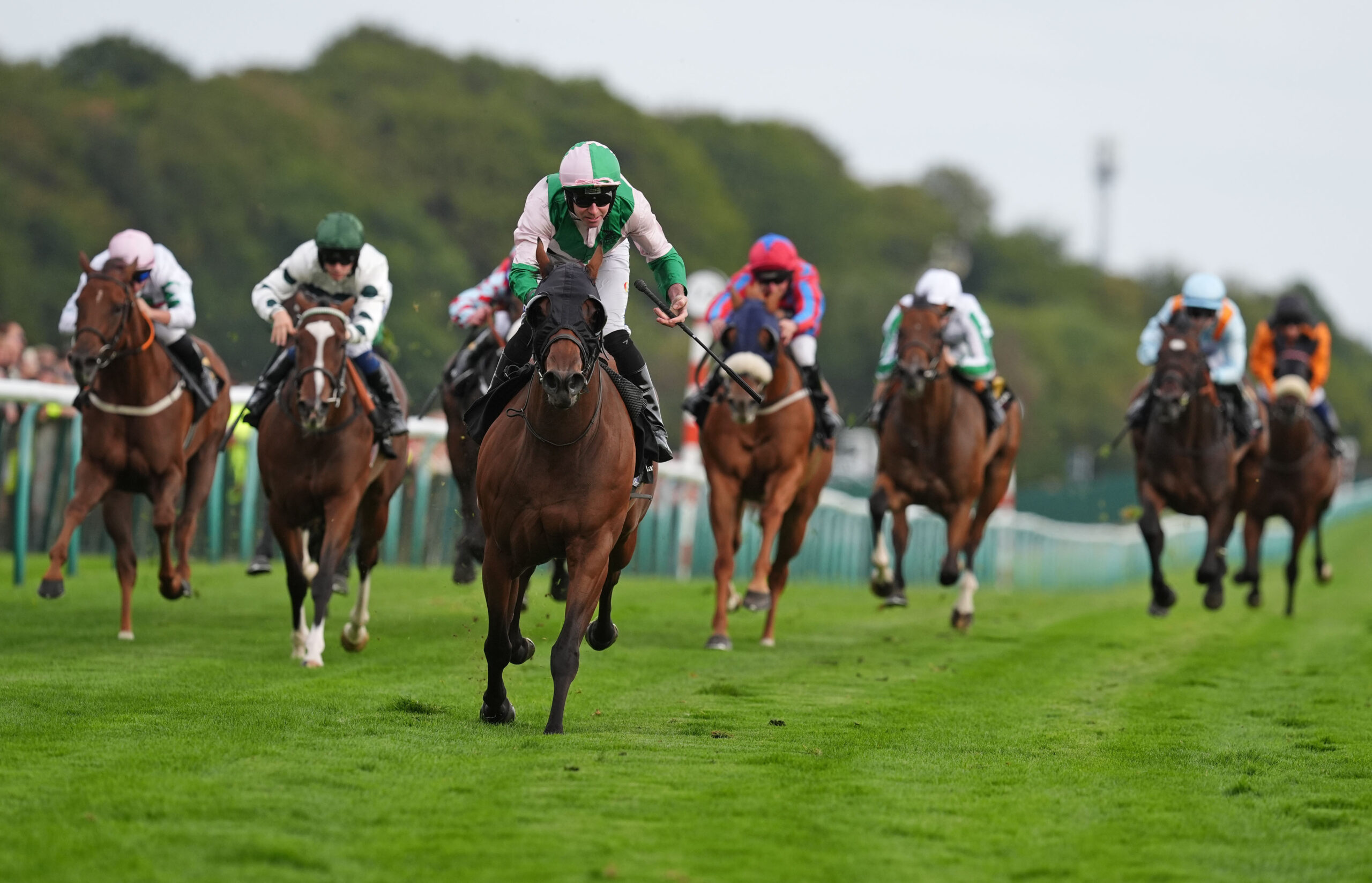 Virgin Bet Scottish Sprint Cup Handicap 2026 –Runner-by-Runner Preview
