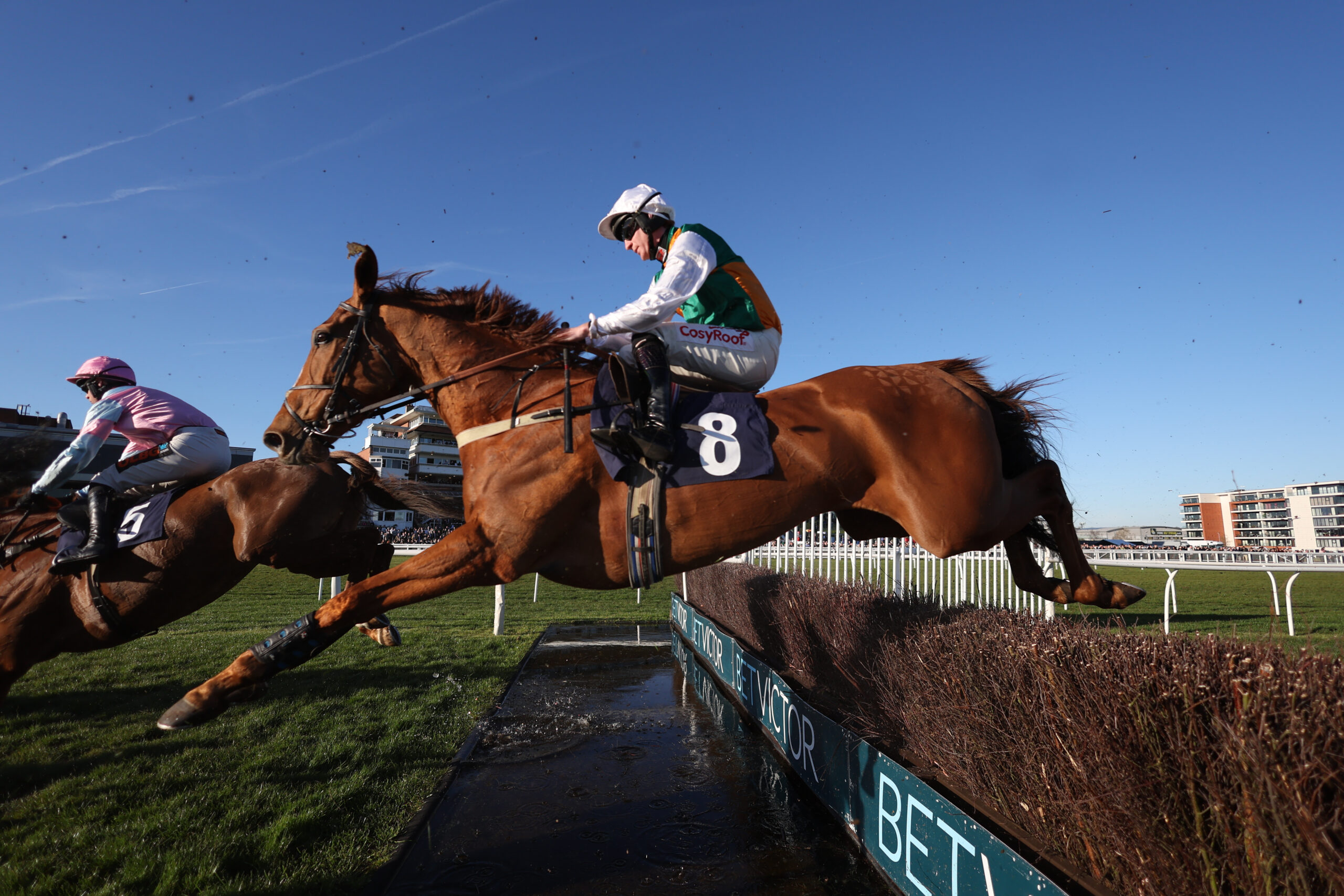 HAVAILA CAN PUT OLDER RIVALS TO THE SWORD AT PLUMPTON
