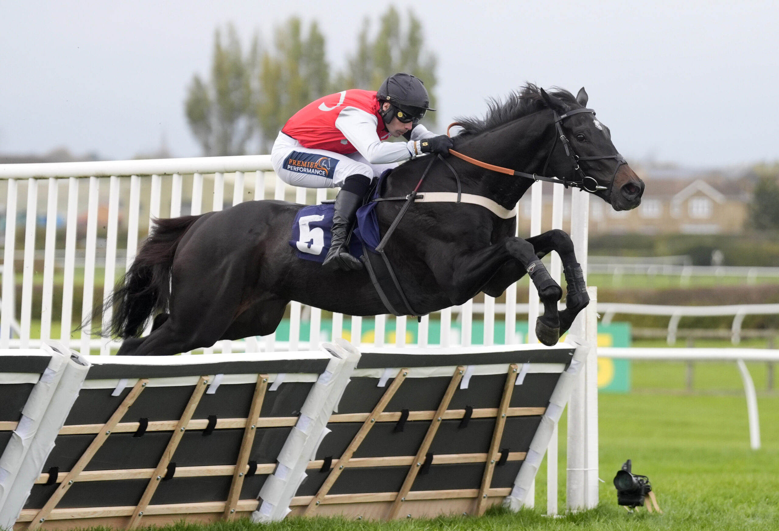 BRIGHTERDAYSAHEAD BACKED FOR DAY IN THE SUN AT AINTREE