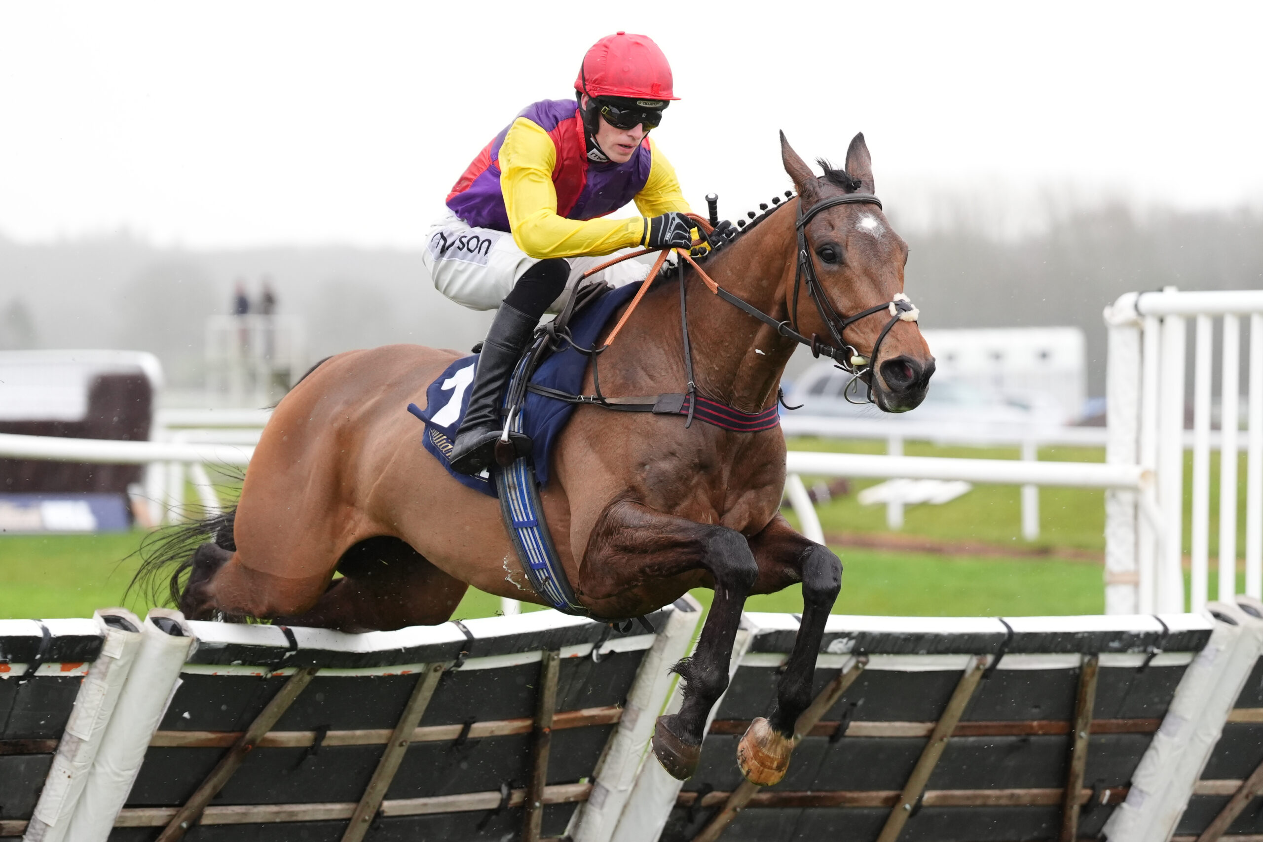 GLORY AWAITSAINTREE BACKERS