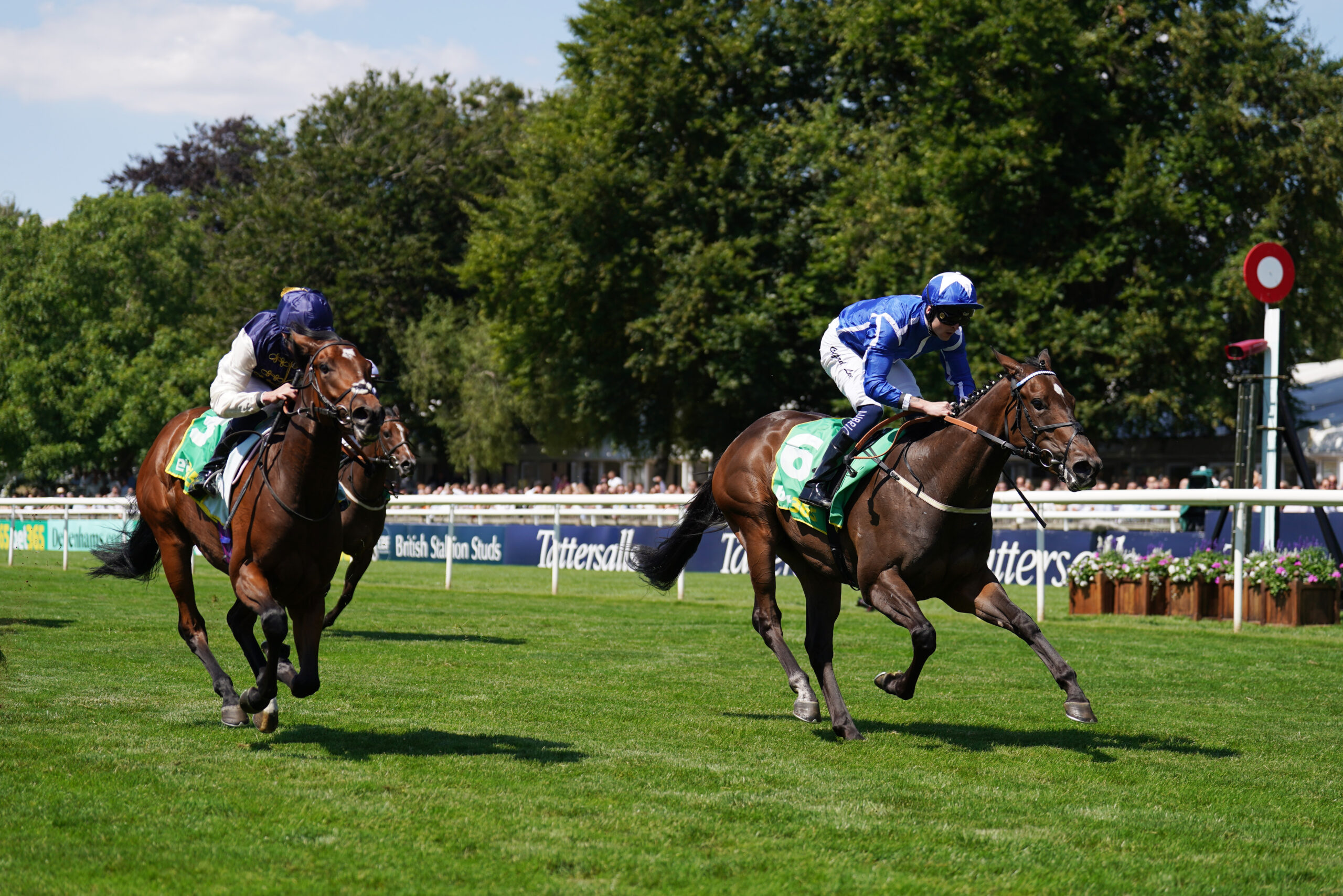 Venetian Sun pencilled in for Newmarket gallop