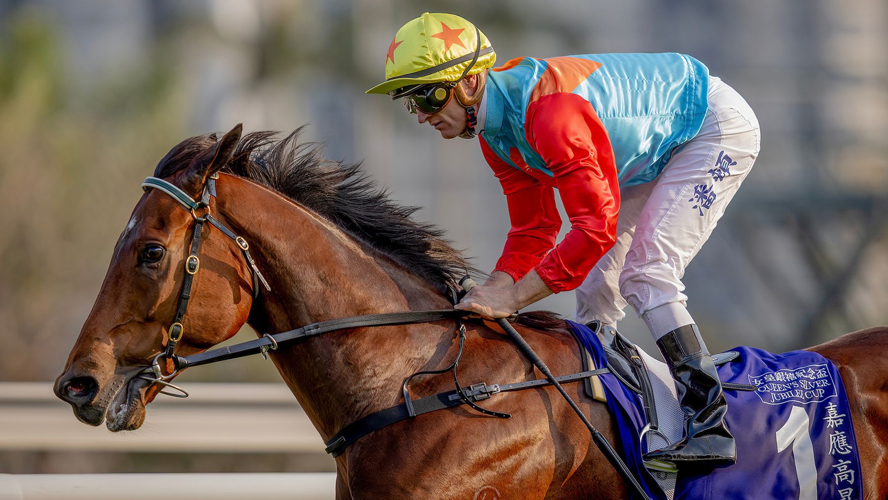 19 wins in a row for ‘betterthan ever’ Ka Ying Rising