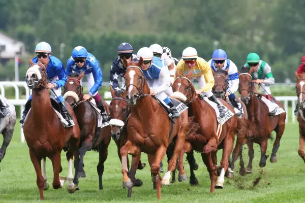 French Selections Thursday 14th