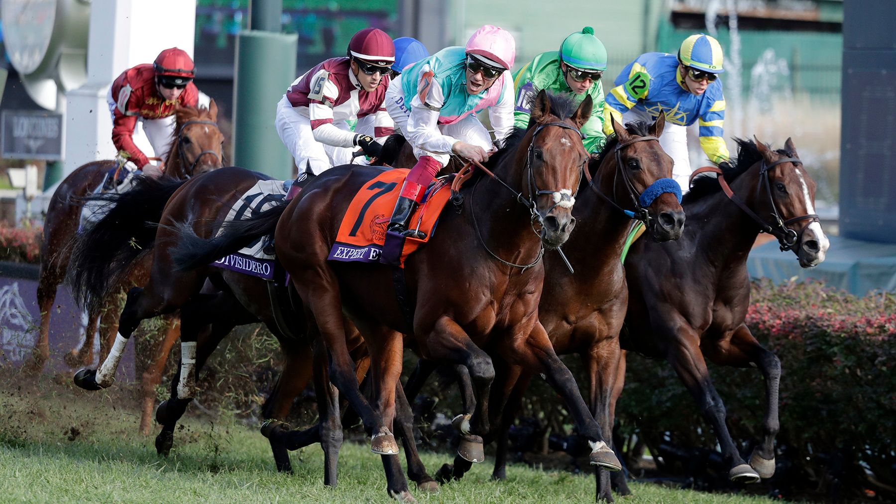 French Selections Friday 8th