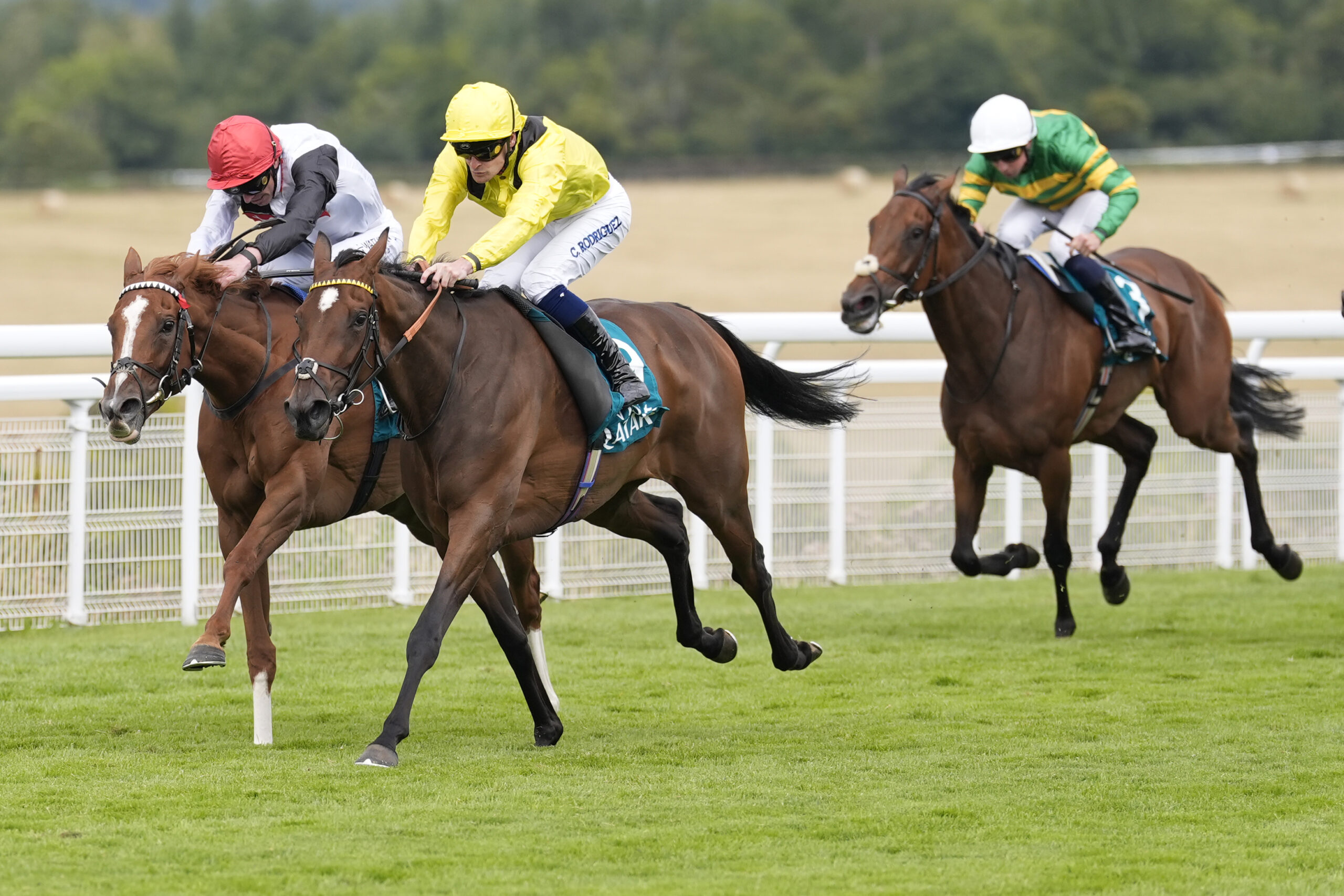 Star attraction atBeverley Saturday