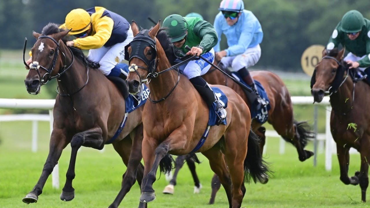 French Selections Saturday 2nd