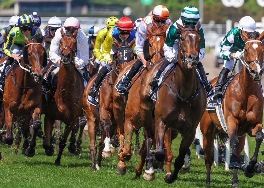 French Selections Thursday 7th
