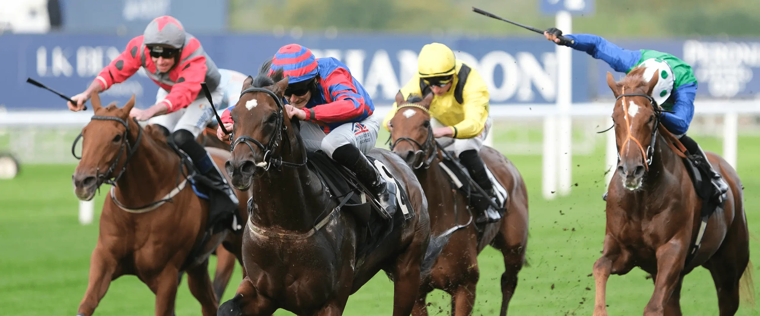 French Selections Wednesday 6th