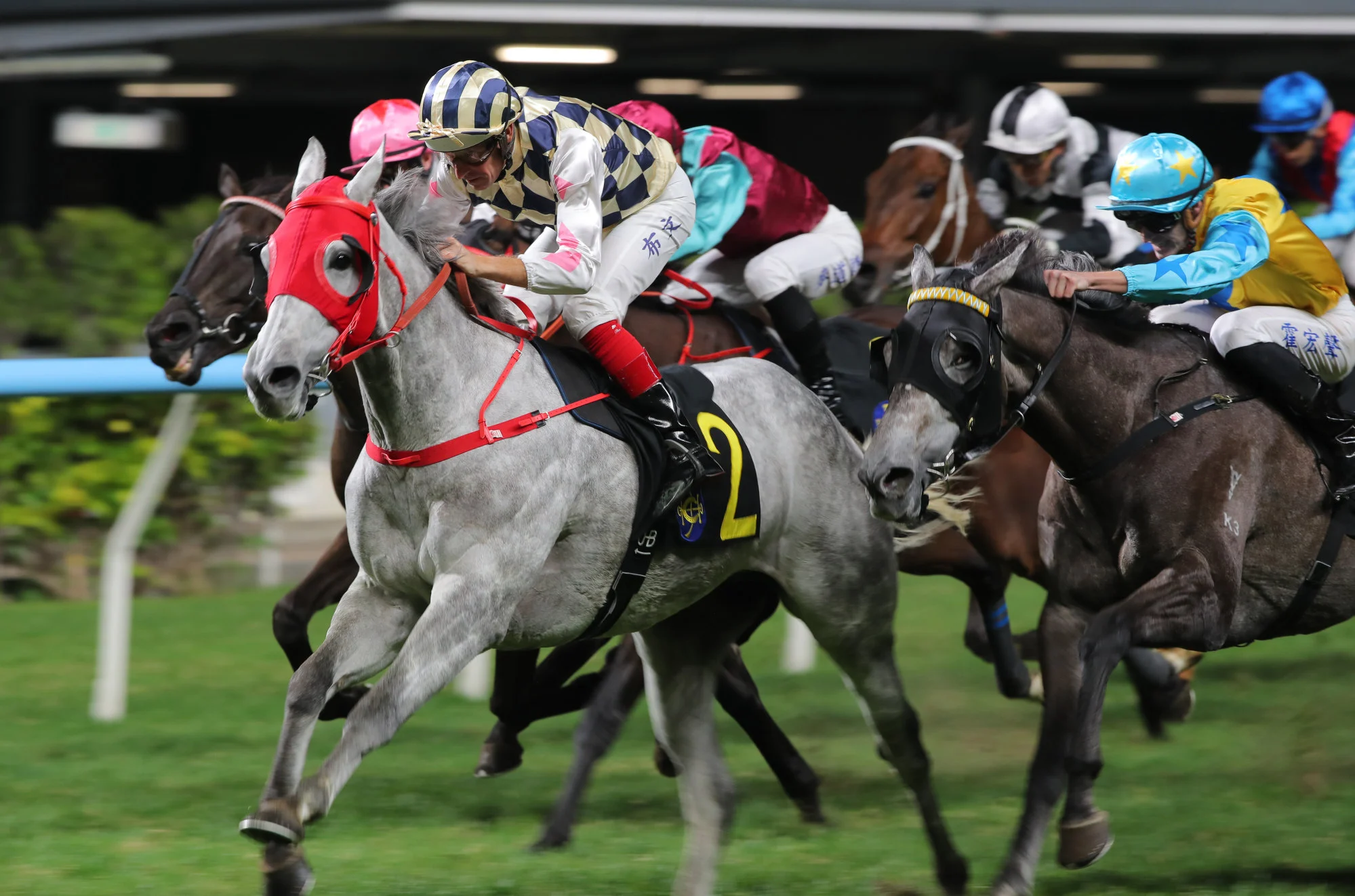 French Selections Friday 15th