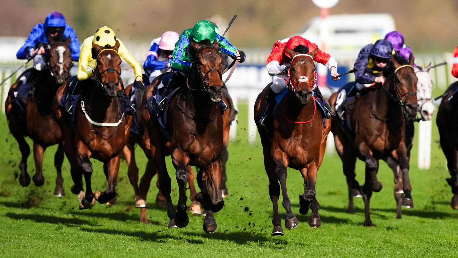 French Selections Saturday 9th