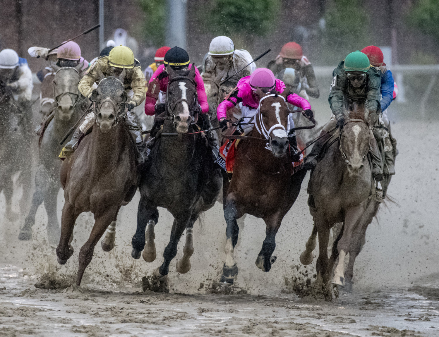 French Selections Saturday 25th