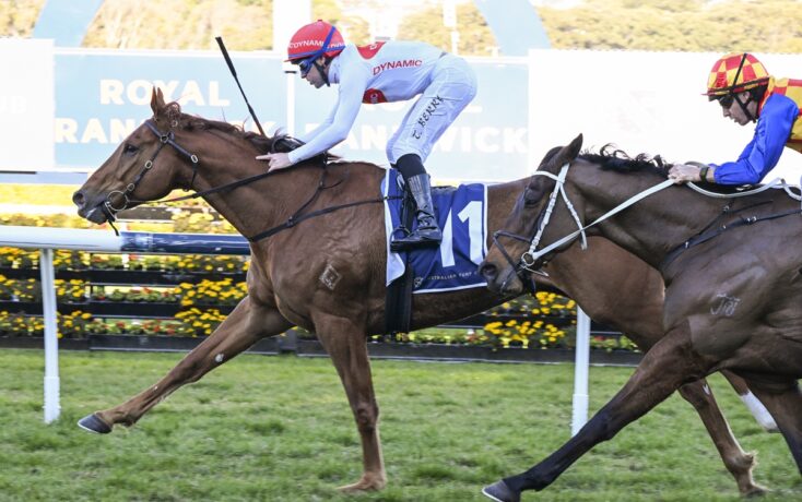Lugh poised to shine bright at Randwick