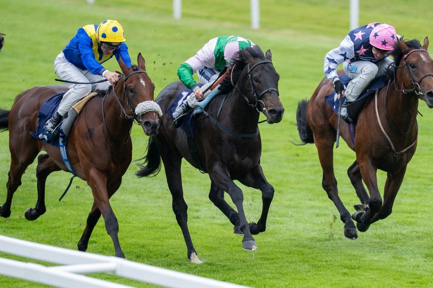 Silver sparkle expectedto show at Ascot