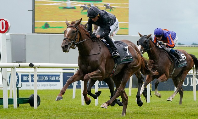 French Selections Monday 5th