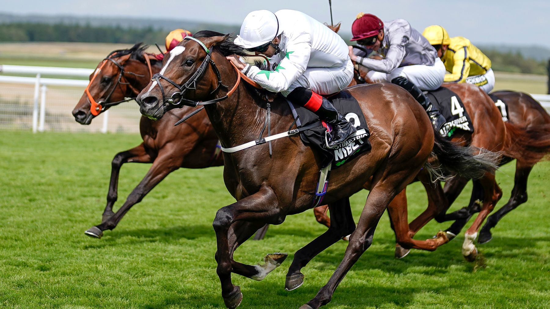 French Selections Friday 9th